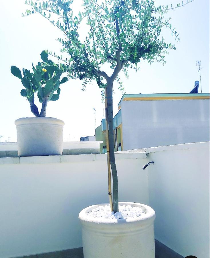 Dimora Asmara 11 15 Lägenhet Brindisi Exteriör bild